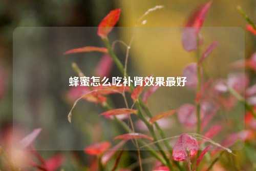 蜂蜜怎么吃补肾效果最好,蜂蜜怎么吃补肾效果最好,第1张