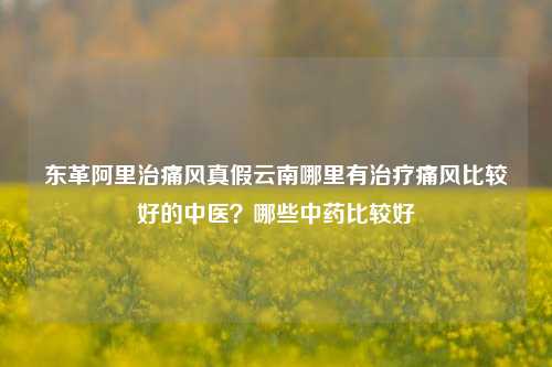 东革阿里治痛风真假云南哪里有治疗痛风比较好的中医？哪些中药比较好,东革阿里治痛风真假云南哪里有治疗痛风比较好的中医？哪些中药比较好,第1张
