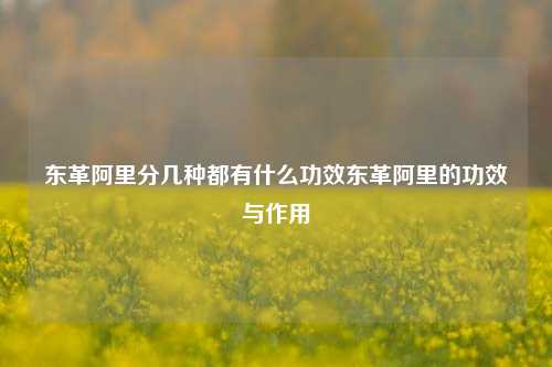 东革阿里分几种都有什么功效东革阿里的功效与作用,东革阿里分几种都有什么功效东革阿里的功效与作用,第1张